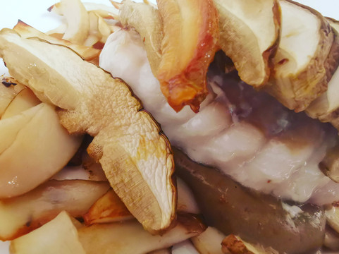 托尔托纳餐馆和美食-Cavallino