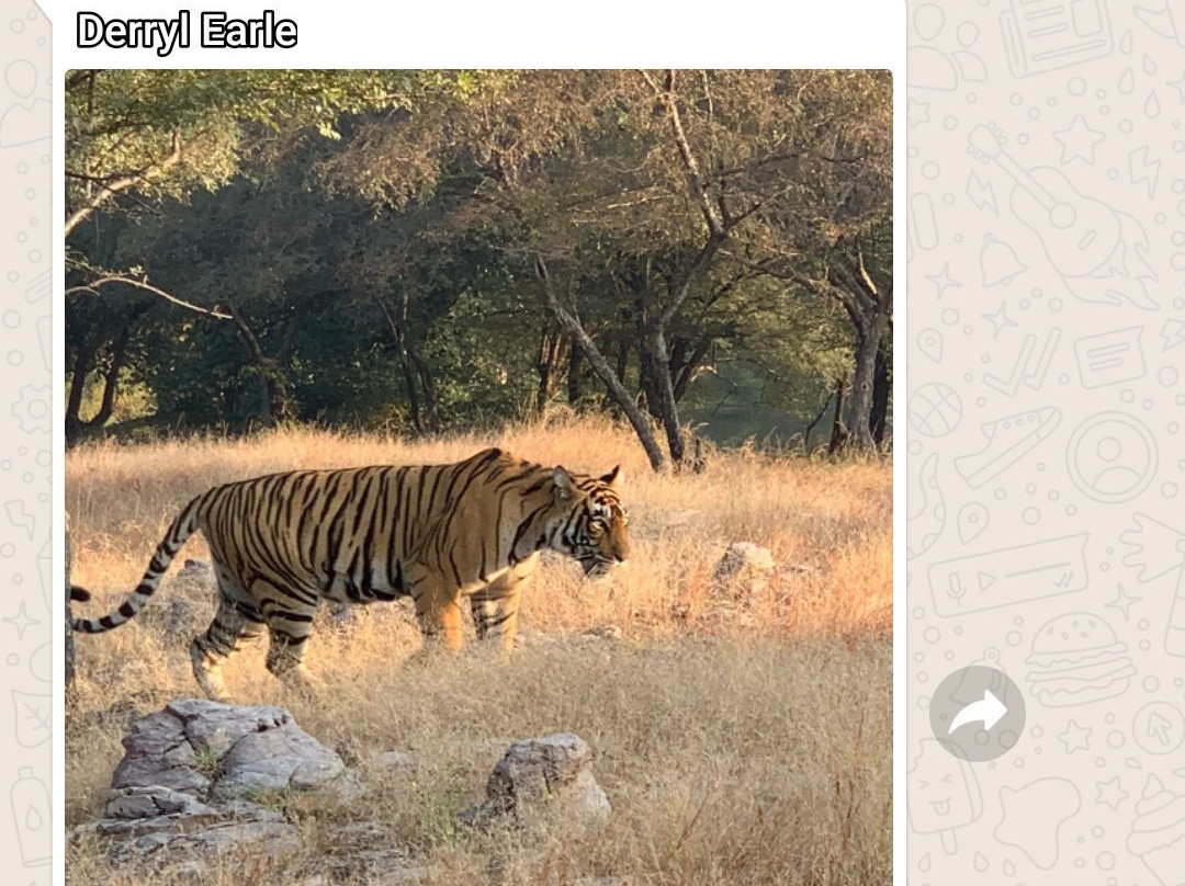 India By Locals-新德里必去景点