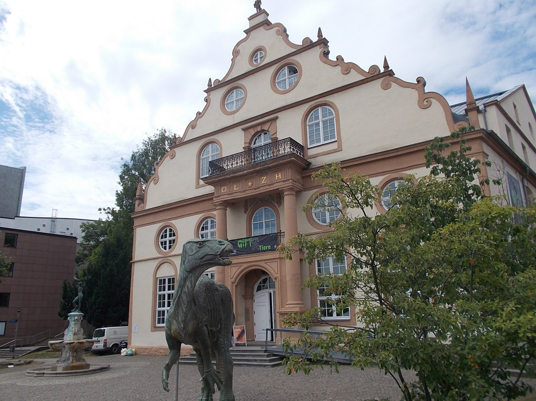 Naturkundemuseum im Ottoneum景点图片