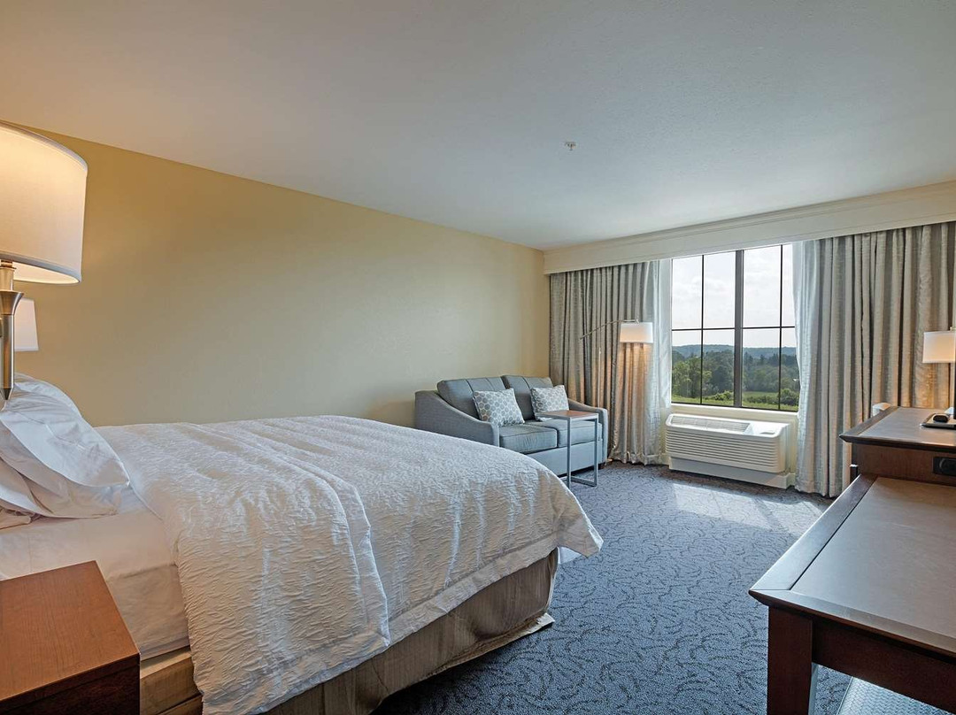 Hampton Inn & Suites Cazenovia主图