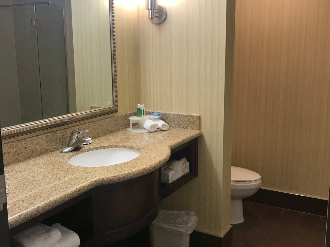 二十九棕榈村快捷假日&套房酒店主图