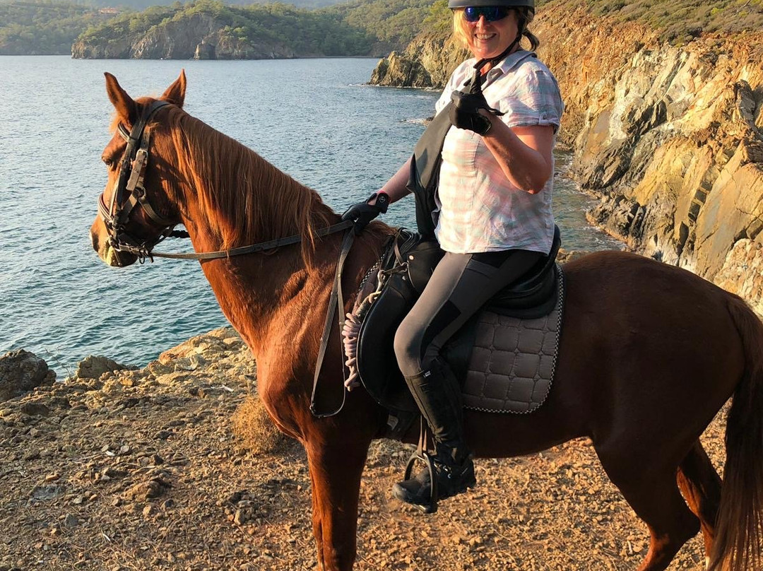 Desperado Horse Ranch景点图片