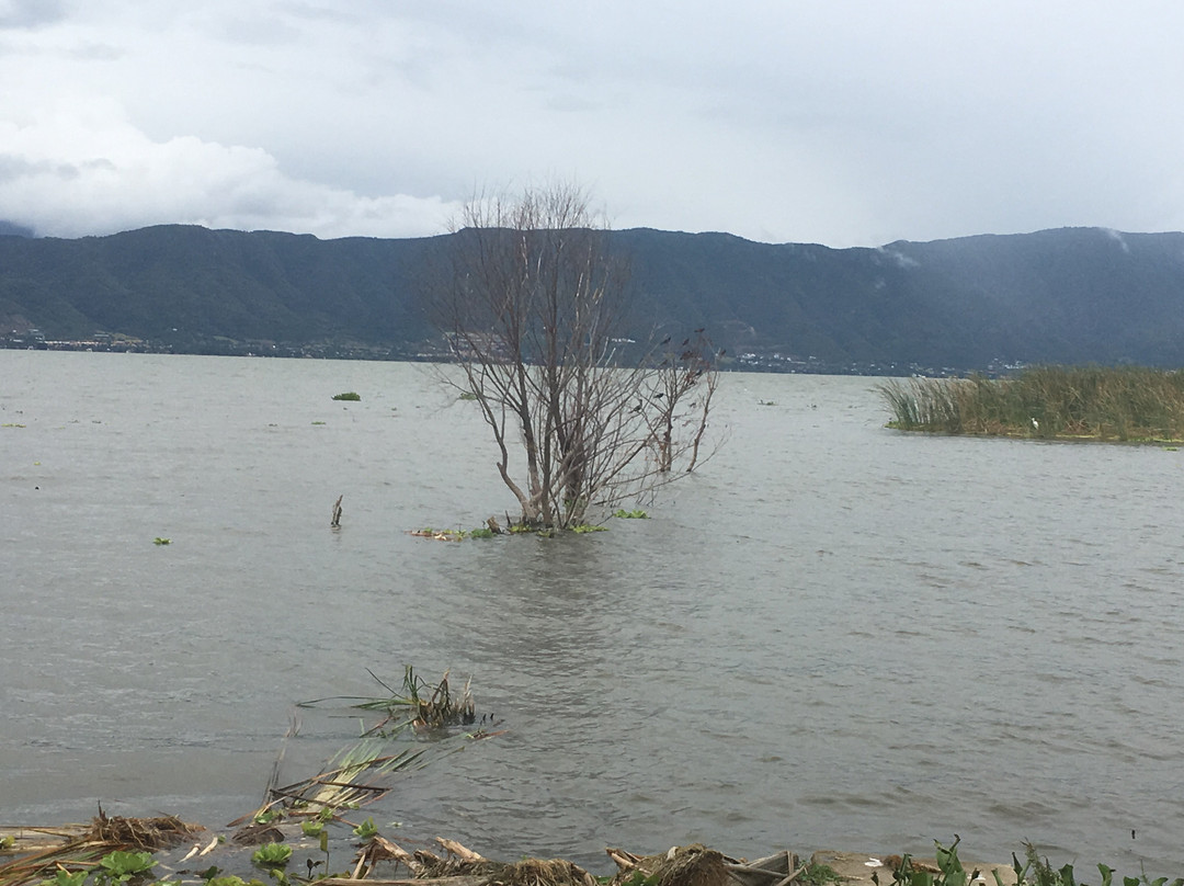 Quinta San Carlos主图