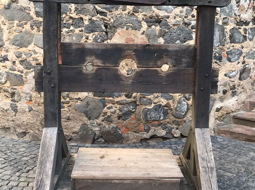 Burg Ronneburg景点图片