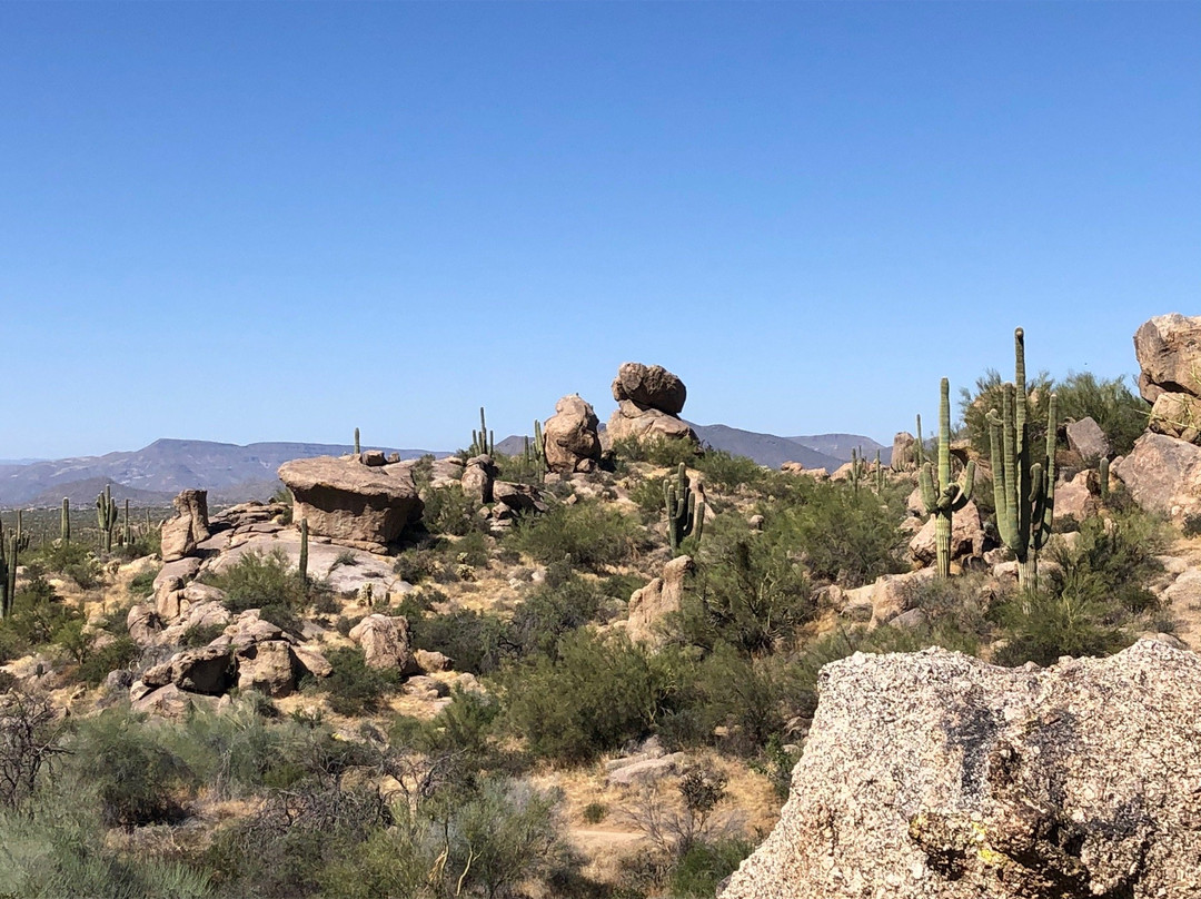 Brown's Ranch Trailhead-斯科茨代尔必去景点