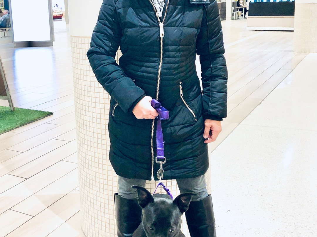 Yorktown Center-伦巴第必去景点