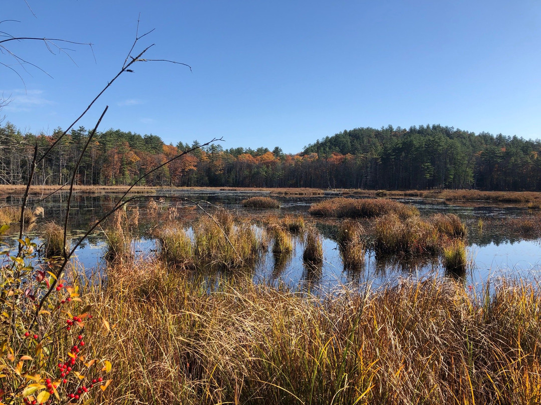 Quincy Bog Natural Area景点图片