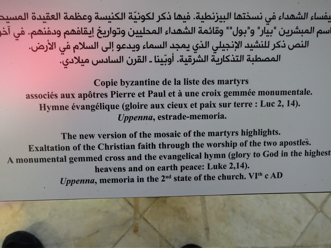 Musée d'Enfidha-Enfidha必去景点