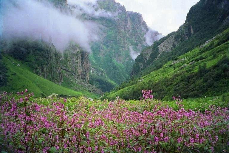 Asian Adventures景点图片