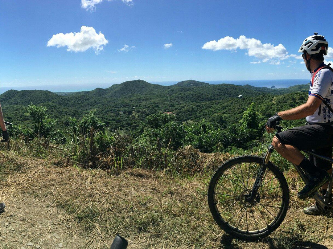 Island Life Adventures-Frederiksted必去景点