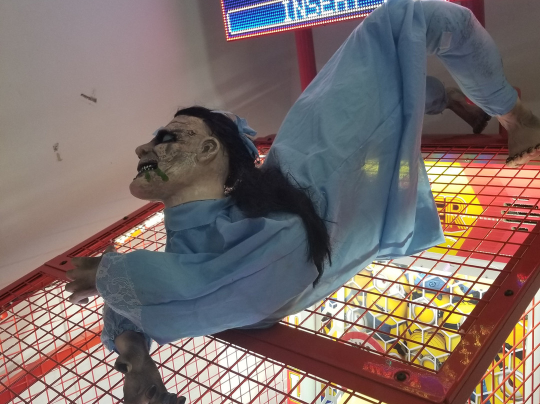 Coral Cove Family Fun Center-South Beloit必去景点