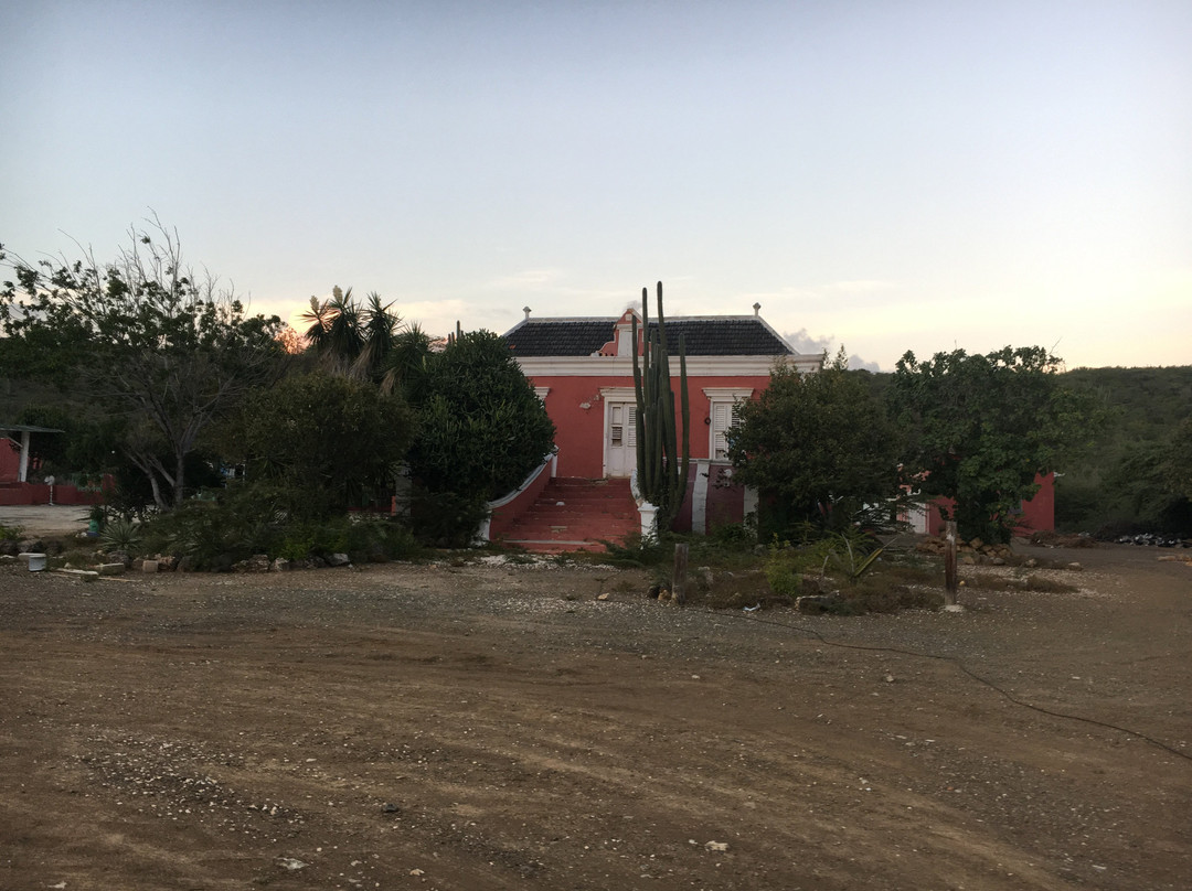 Grote Berg旅游景点-Landhuis Papaya