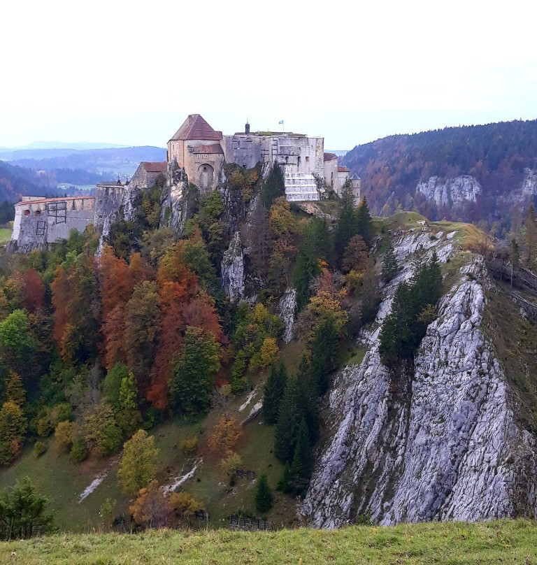 Fort Malher du LArmont Inférieur-La Cluse-et-Mijoux必去景点
