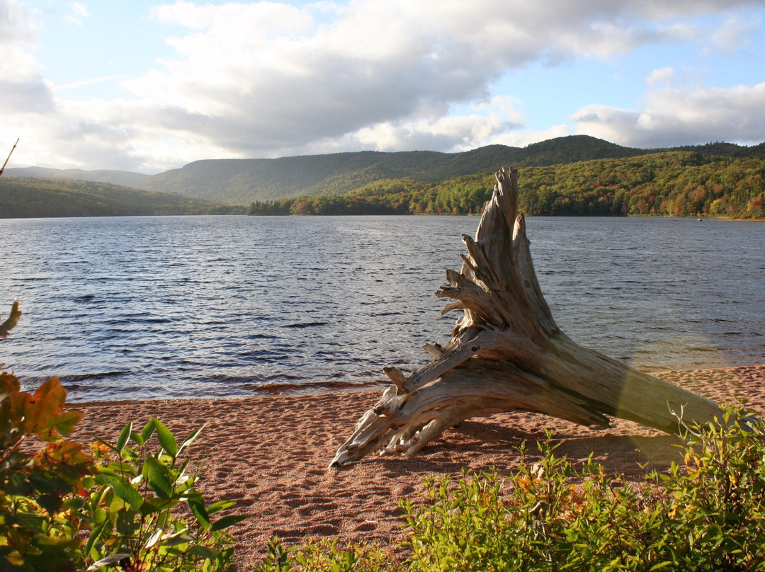 Cape Breton Highlands National Park景点图片