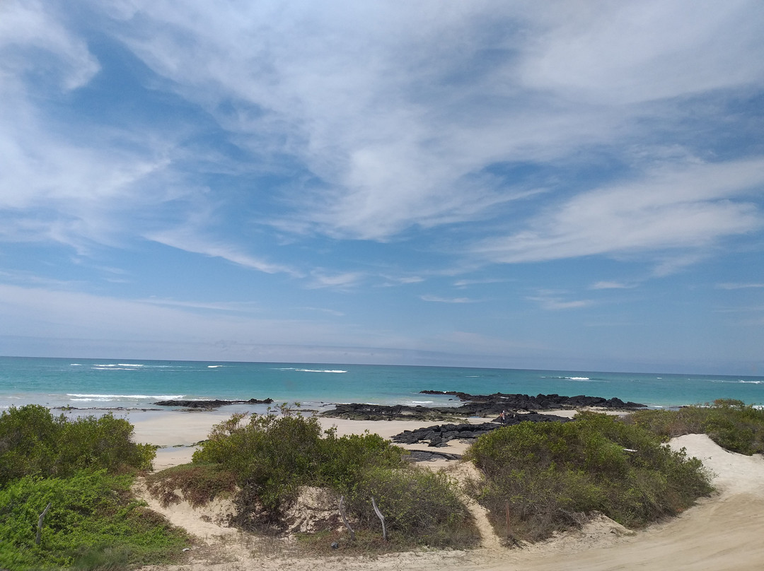 伊瓜纳十字精品酒店主图