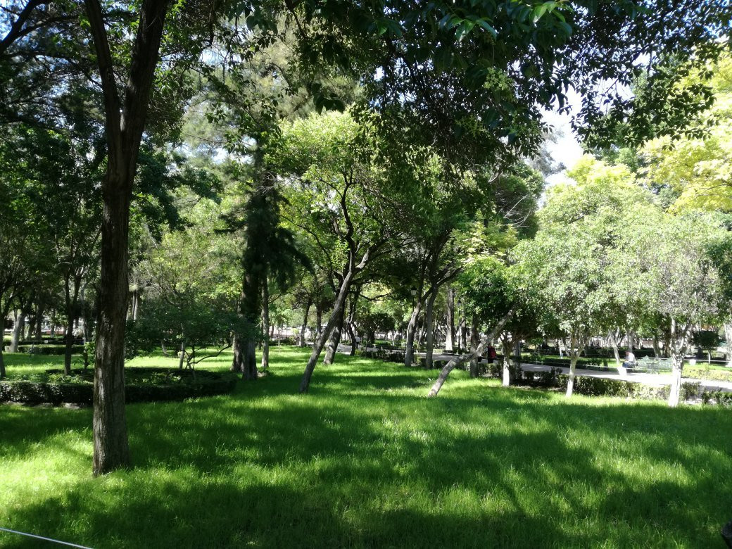 Alameda Hidalgo景点图片