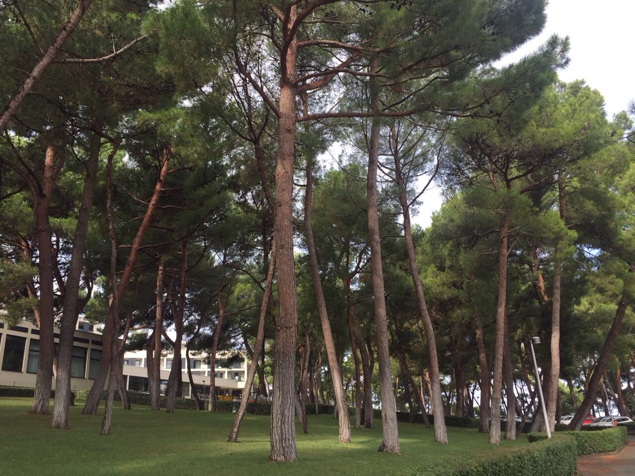 Hotel Molindrio Plava Laguna-浴室