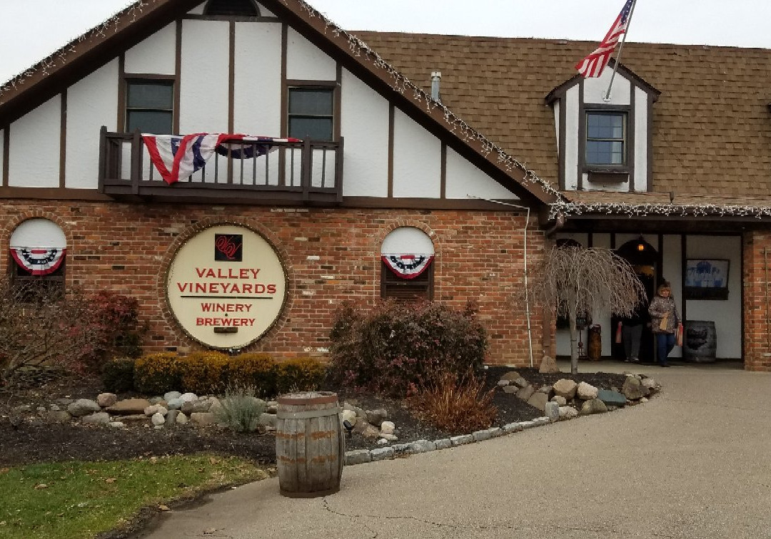 Valley Vineyards