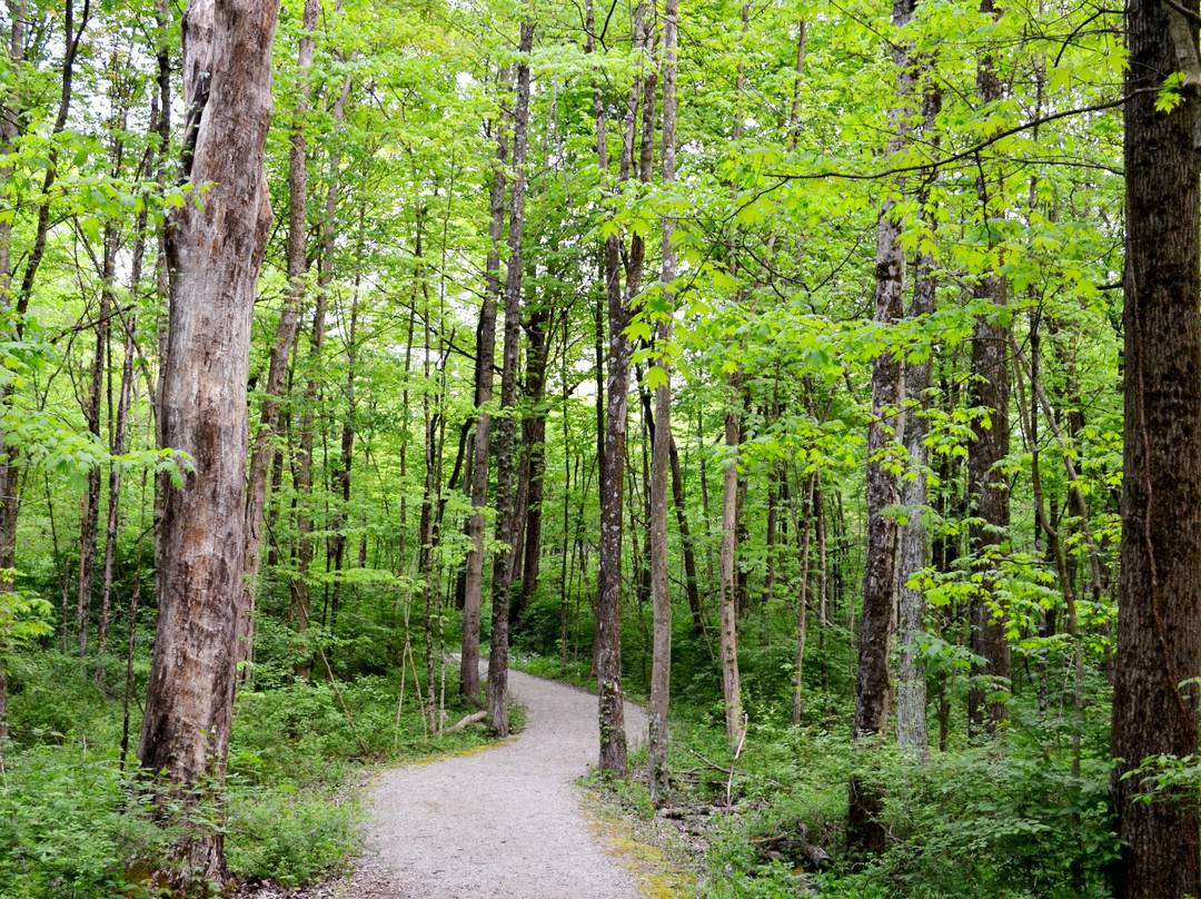 Delaware旅游景点-Gallant Woods Preserve