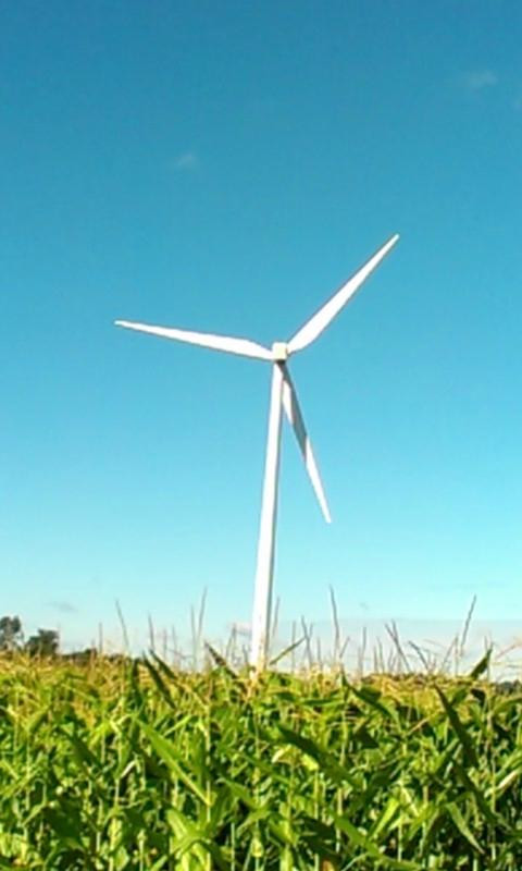 Bowling Green Wind Farm-鲍灵格林必去景点