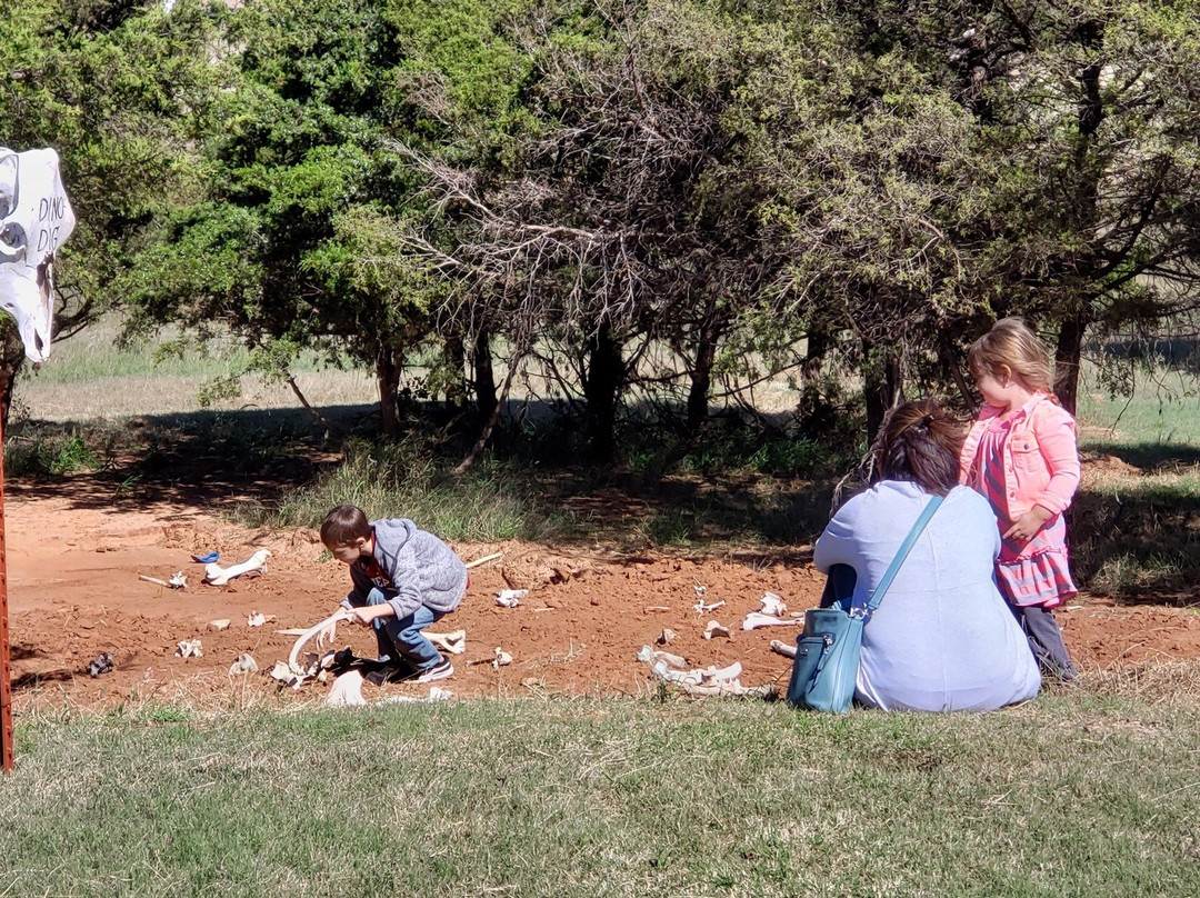 Daze in a Maze-Enid必去景点