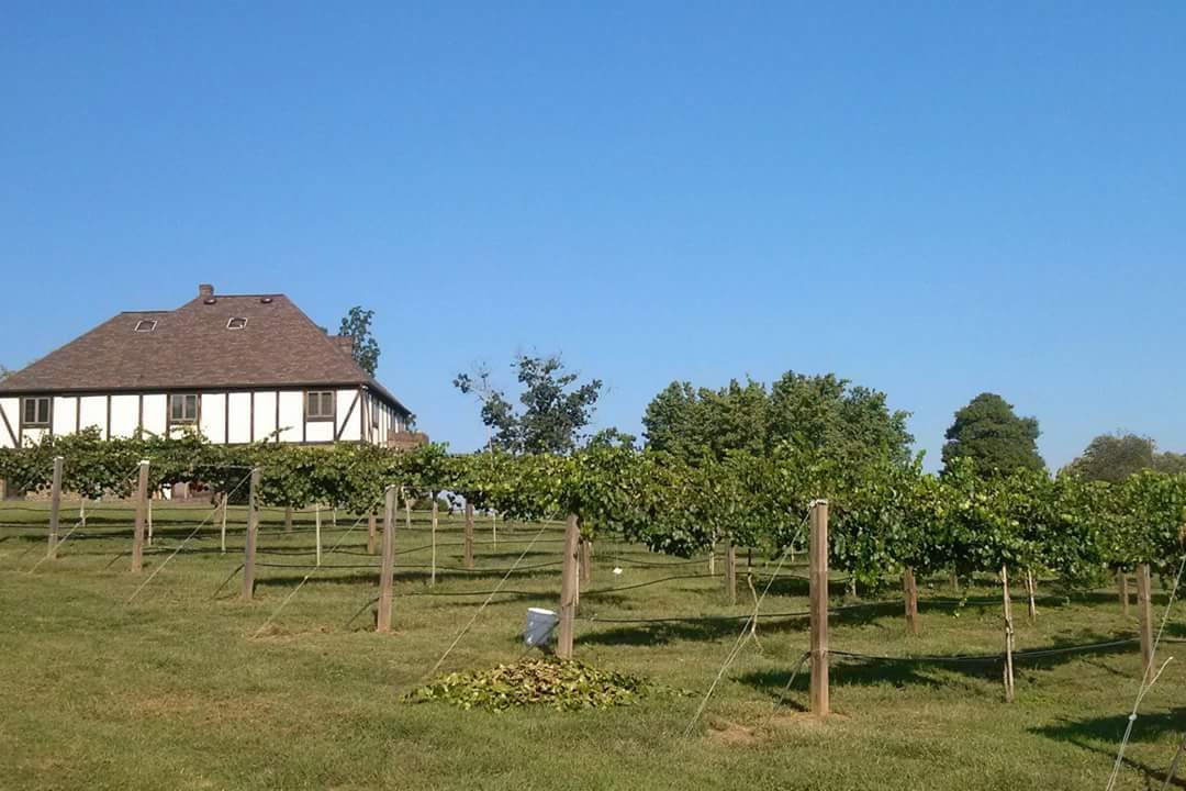Collettsville旅游景点-Six Waterpots Vineyard and Winery