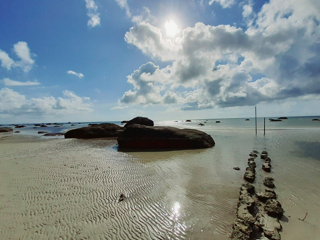 Cay Sao Phu Quoc主图