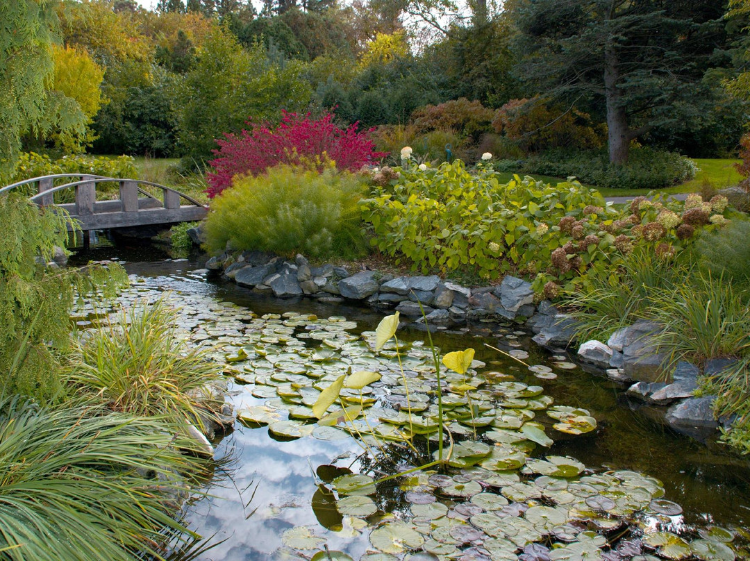 Klehm Arboretum & Botanic Garden景点图片