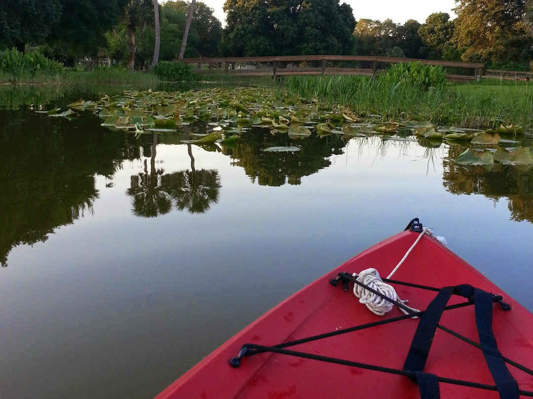 Kayaking Florida Waters景点图片