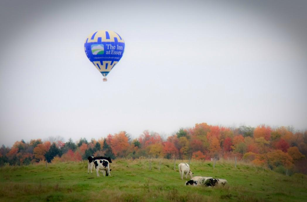 Above Reality Inc. Hot Air Balloon Rides景点图片