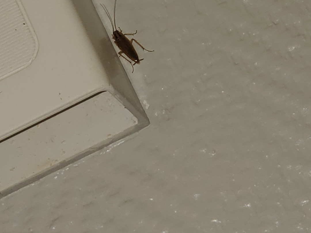 Motel 6 Atlanta Northwest - Marietta主图