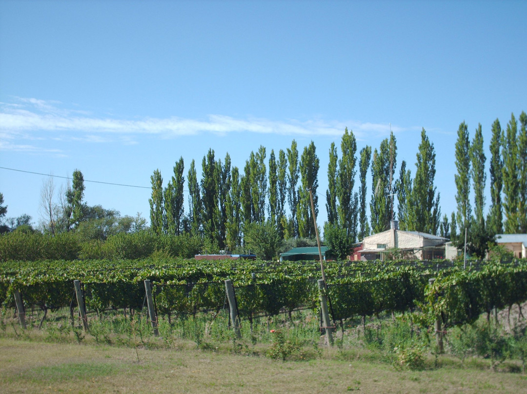 Bodega Familia Camargo