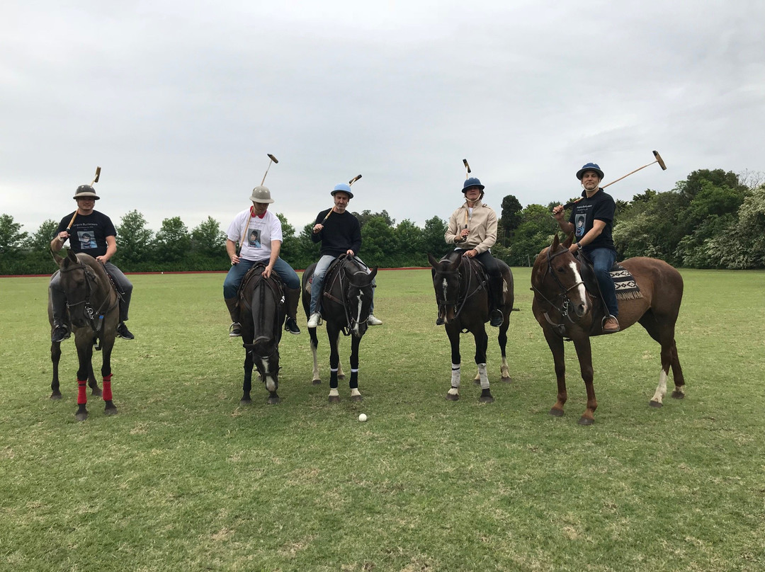 Polo in Buenos Aires景点图片