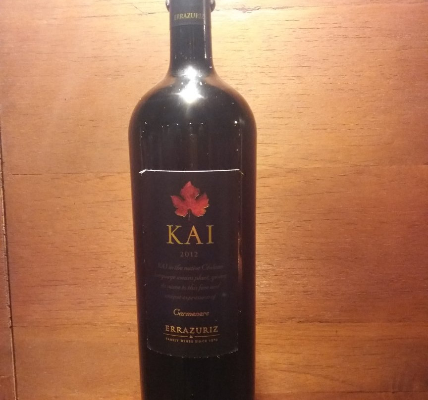 Vina Errazuriz-San Felipe必去景点