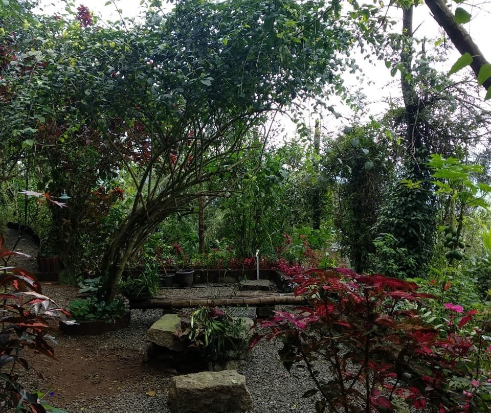 Little Flower Farms
