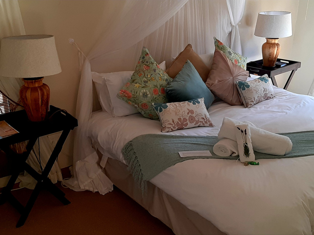 African Dawn Guesthouse主图