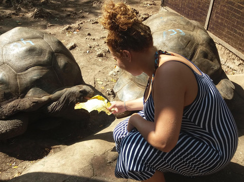 Imani Zuberi-石头城必去景点