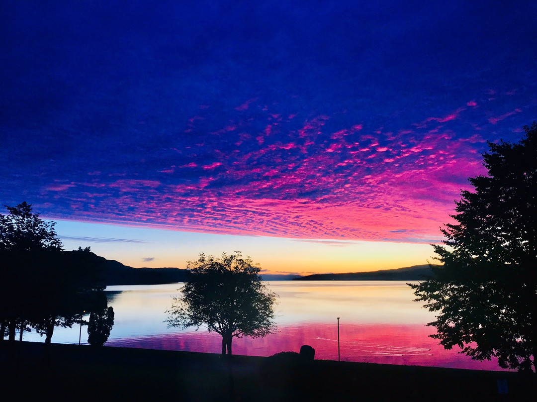 La Grange aux hiboux主图