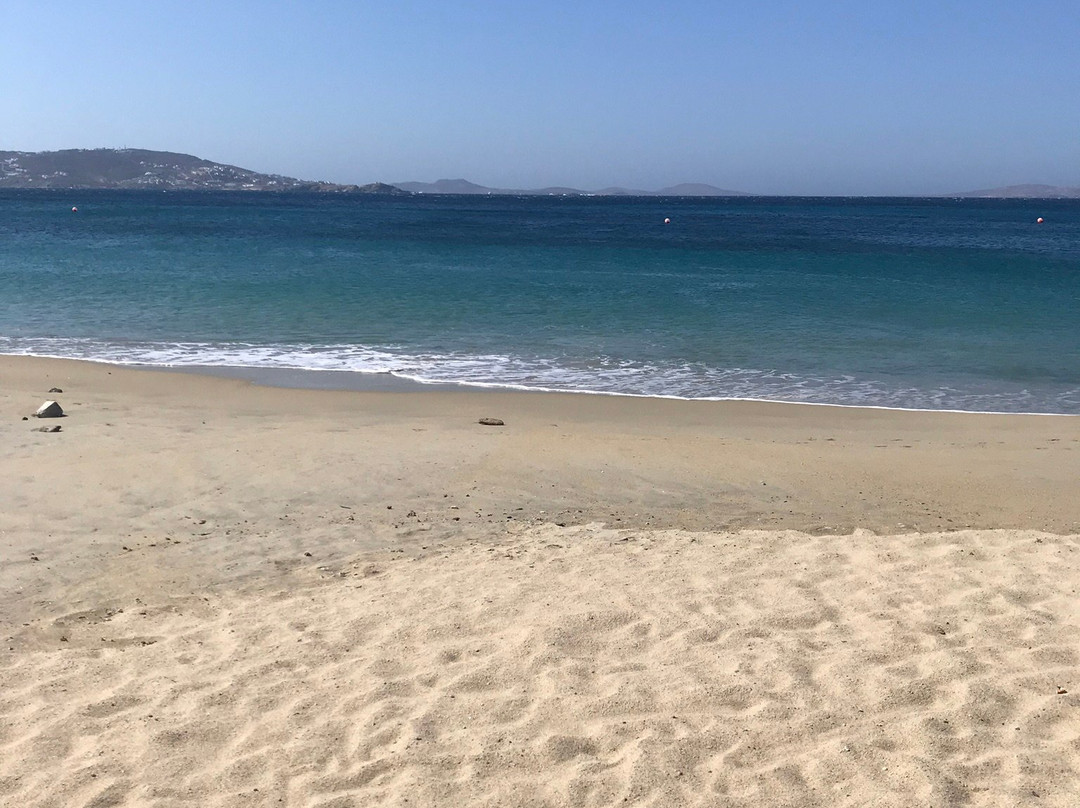 阿尔克斯提斯酒店主图