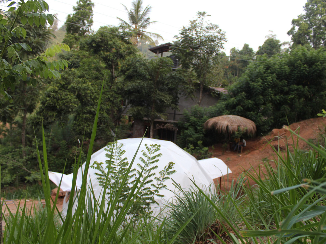 Ella Eco Domes主图