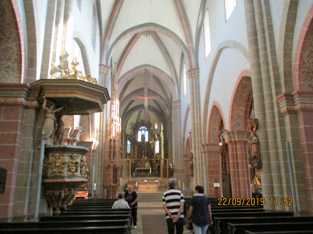 St. Petri Kathedrale景点图片
