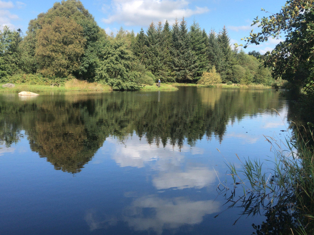Annamoe Trout Fishery-Annamoe必去景点