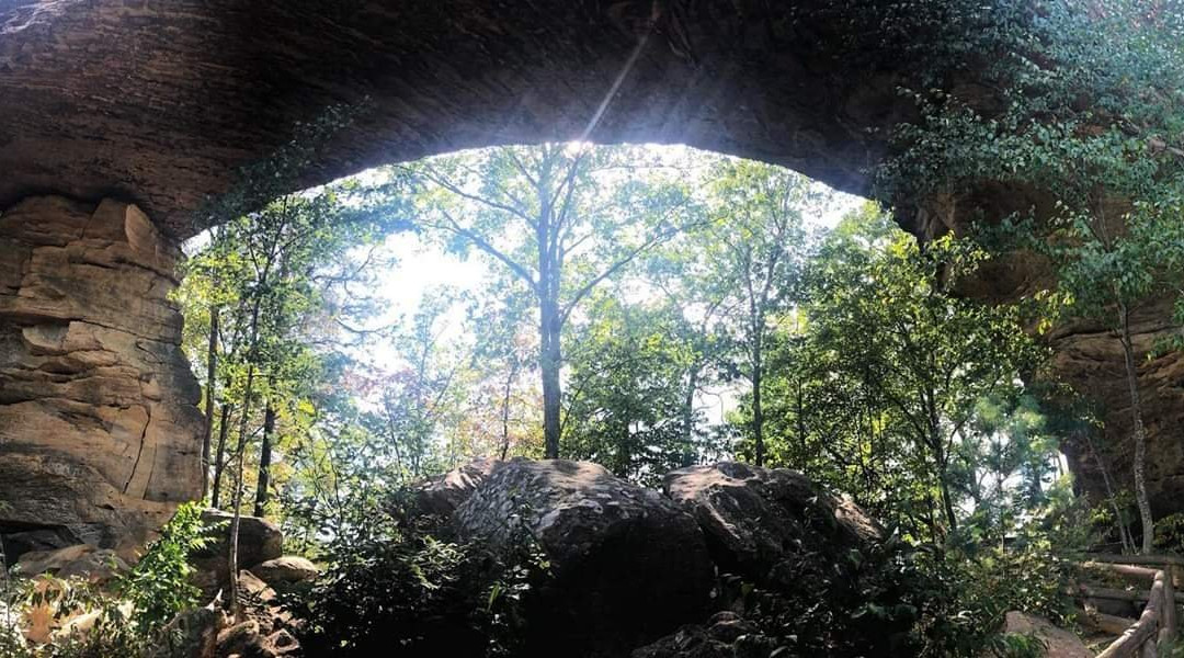 Daniel Boone National Forest-Winchester必去景点
