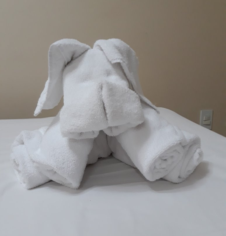 Delupo Hotel / Livin Studios主图