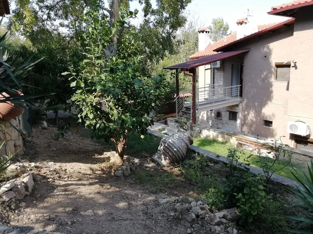 The Beach House主图