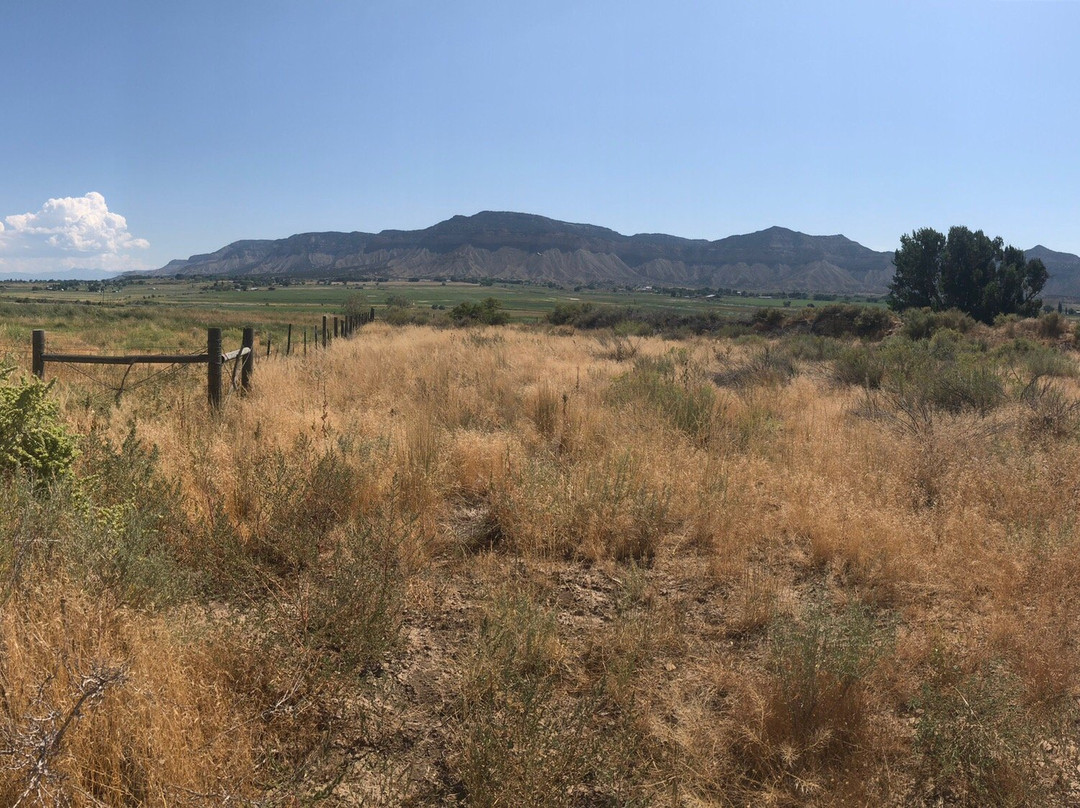 Yucca House National Monument-Towaoc必去景点