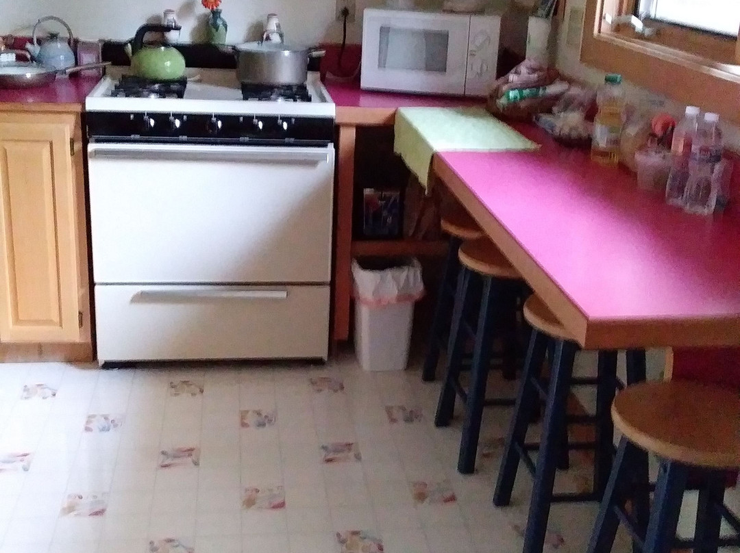 Teddy s Inn the Woods Bed and Breakfast主图