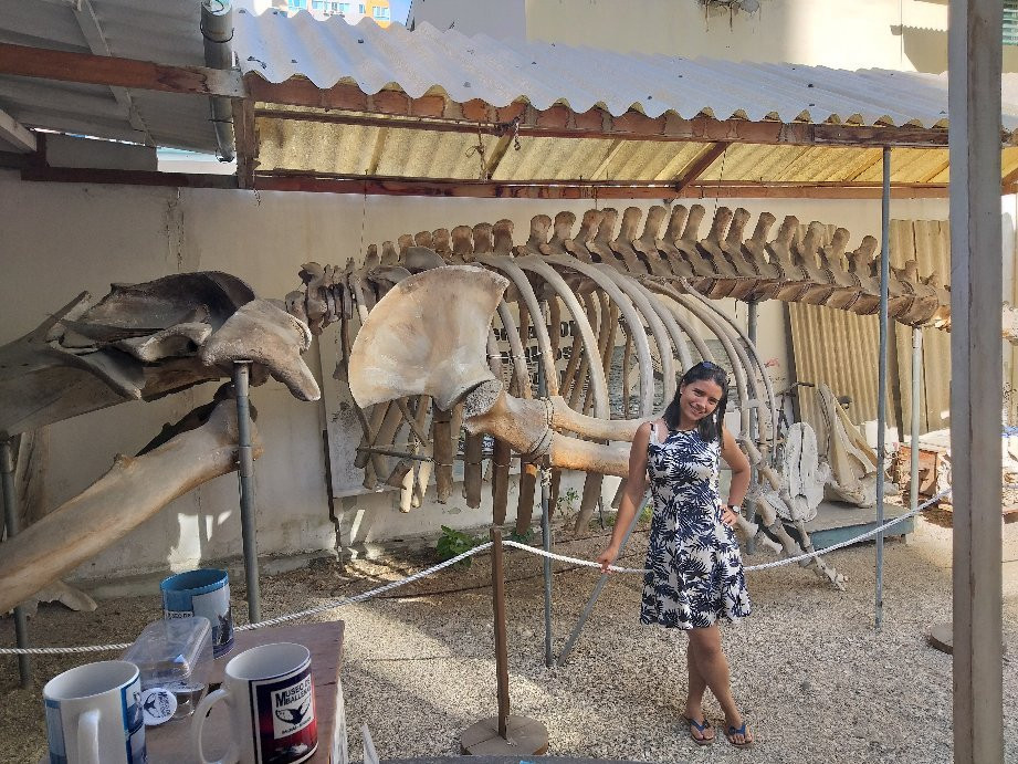 Museo de las Ballenas-萨利纳斯必去景点