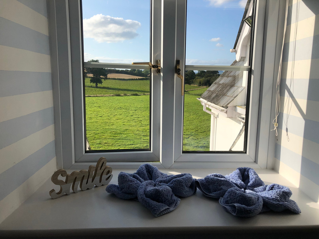 Gwern-Eiddig Farmhouse B & B主图