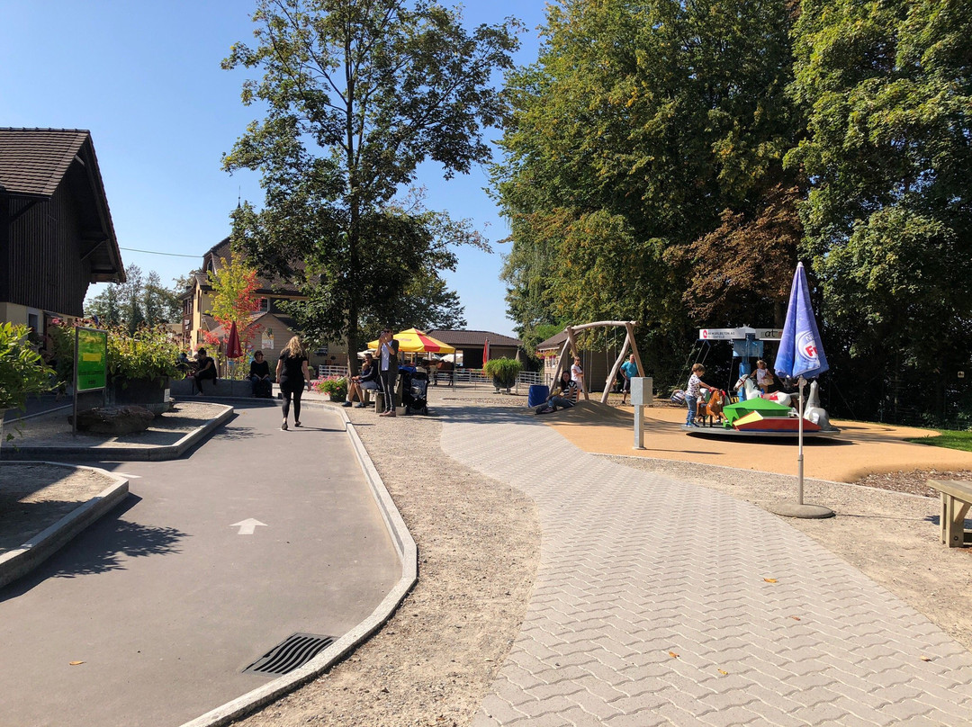Plättli Zoo-Frauenfeld必去景点